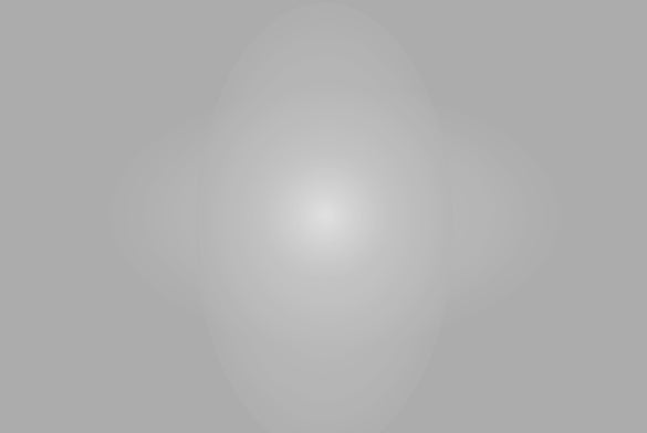 Lee Filters 464 1/4 Quiet Grid Cloth - 54" x 25' Roll - Grip Support Store