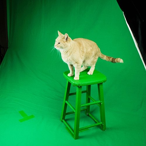 Gaffer Tape — Chroma Green 2" x 30yd