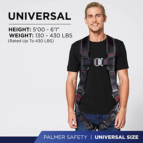 5pt Safety Harness (Black - Universal)